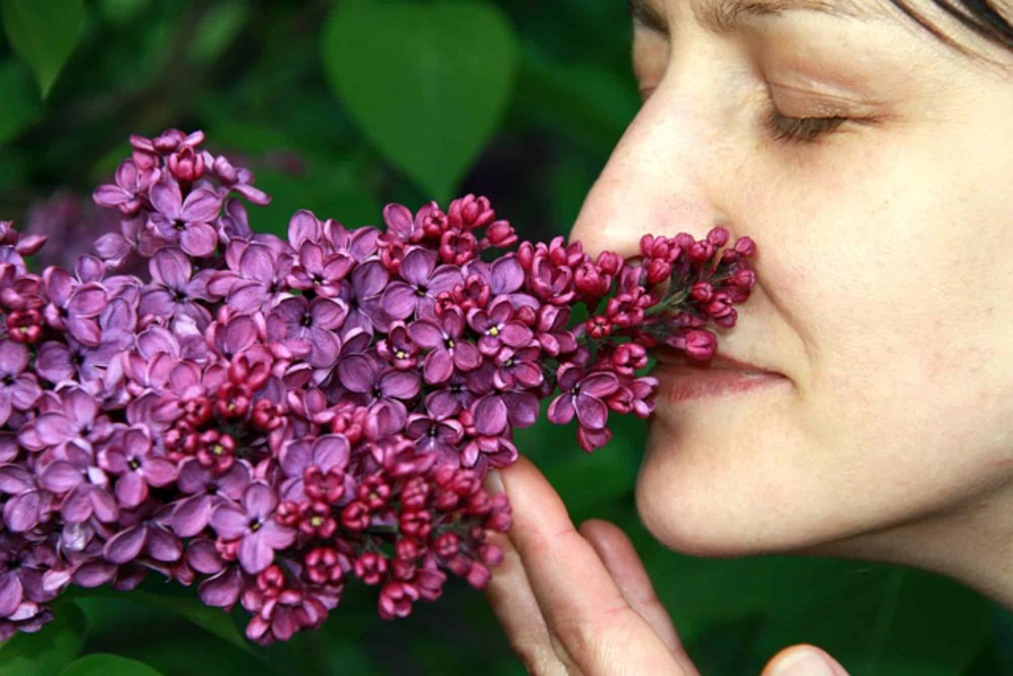 Losing a sense of smell can lead to accidents